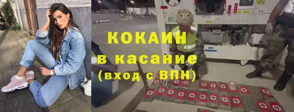 соль ск Алзамай