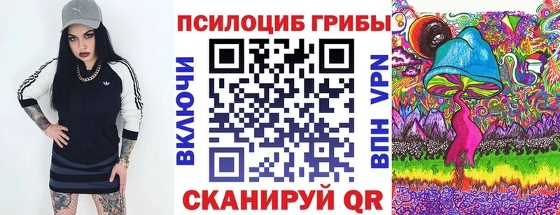 Галлюциногенные грибы Psilocybe закладка Обоянь